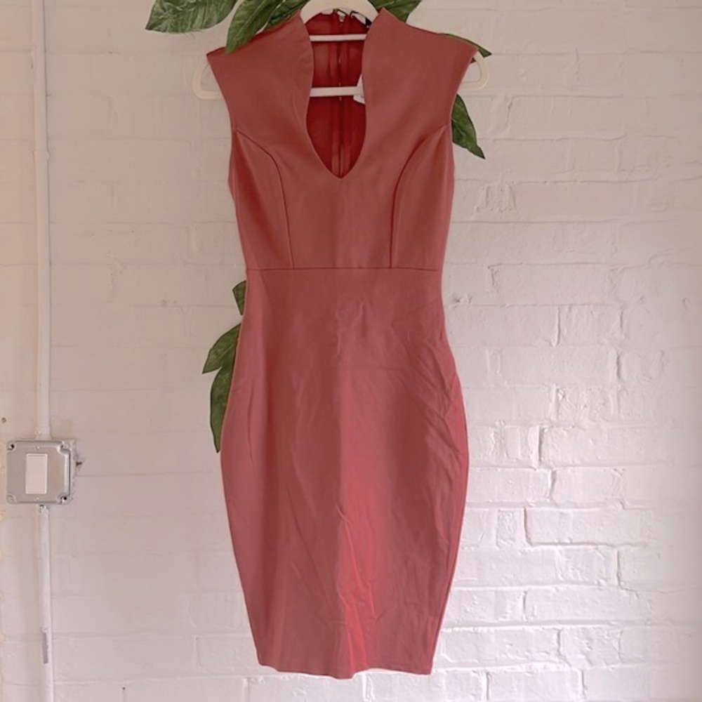 NWT Windsor Blush Dress